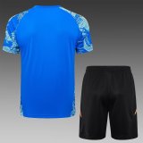 Real Madrid  Blue 1:1 Quality Training （A-Set）24/25