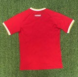 Panama Home Red  Fans 1:1 Quality Soccer Jersey 25/26