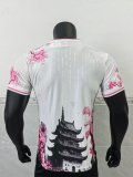 Japan Special Edition Player 1:1 Quality Soccer Jersey 24/25