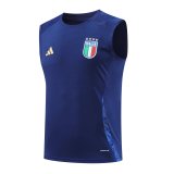 Italy Training Suit  Blue  1:1 Quality Training Vest（A-Set）24/25