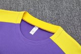 Atletico Madrid Purple 1:1 Quality Training Jersey（A-Set）25/26