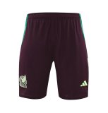 Mexico  Green And Burgundy 1:1 Quality Training Vest（A-Set）24/25
