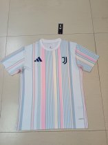 Juventus Training Clothes Fans 1:1 Quality Soccer Jersey 25/26