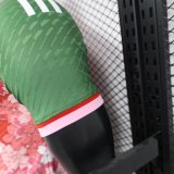 Japan Special Edition Player 1:1 Quality Soccer Jersey 24/25
