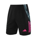 Juventus Grey 1:1 Quality Training Vest（A-Set）24/25