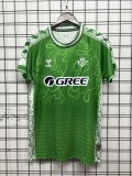 Real Betis Special Edition Fans 1:1 Quality Soccer Jersey 25/26