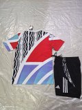Arsenal Color 1:1 Quality Training Jersey（A-Set）25/26