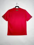 2010 Portugal Home Fans 1:1  Quality Retro Soccer Jersey