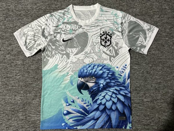 Brazil Special Edition Fans 1:1 Quality Soccer Jersey 25/26