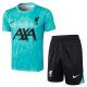 Liverpool  Green 1:1 Quality Training Jersey（A-Set） 24/25