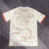 Japan Special Edition Fans 1:1 Quality Soccer Jersey 24/25