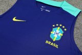 24/25 Brazil Blue 1:1 Quality Training Vest （A-Set）