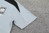 Korea Grey 1:1 Quality Training  Jersey（A-Set）24/25
