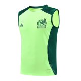 Mexico  Green And Burgundy 1:1 Quality Training Vest（A-Set）24/25