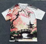 Japan Special Edition Player 1:1 Quality Soccer Jersey 24/25