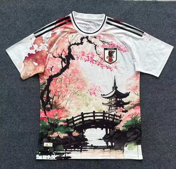 Japan Special Edition Player 1:1 Quality Soccer Jersey 24/25