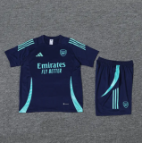 ARS Sapphire Training  Blue 1:1 Quality Training Jersey（A-Set）24/25