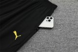 Dortmund Training Yellow  1:1 Quality Training Jersey 24/25