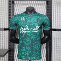 Palestine  Green Player 1:1 Quality Soccer Jersey 25/26