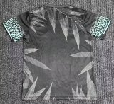 Brazil  Training Clothes Fans 1:1 Quality Soccer Jersey 24/25