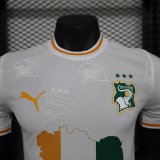 Cote d'Ivoire Special Edition Player 1:1 Quality Soccer Jersey 24/25