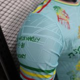 Ajax Special Edition Player 1:1 Quality Soccer Jersey 25/26