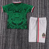 Mexico Home Kids Retro 1:1 Quality Soccer Jersey 1998