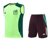 Mexico  Green And Burgundy 1:1 Quality Training Vest（A-Set）24/25