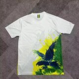 Brazil  Special Edition Fans 1:1 Quality Soccer Jersey 25/26