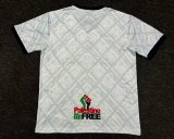 Palestine  Grey White  Fans 1:1 Quality Soccer Jersey 24/25