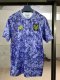 Tiger Pre Match uniform Fans 1:1 Quality  Soccer Jersey 25/26