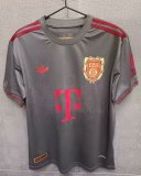 Bayern Munich 125th Anniversary Edition Grey Fans 1:1 Quality Soccer Jersey 25/26