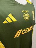 24/25 Tiger Training clothes  Fans 1:1 Quality  Soccer Jersey