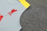 Liverpool  Dark  Gray  1:1 Quality Training Vest（A-Set）24/25