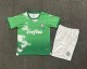 Palmeiras Special Edition Kids1:1  Quality Soccer Jersey 24/25