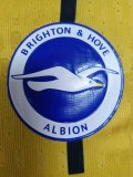 Brighton Away Player 1:1 Quality Soccer Jersey 24/25
