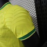 24/25 Brazil   Special  Edition  Yellow  Player  1:1 Quality Soccer Jersey