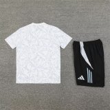 Real Madrid  White Grey  1:1 Quality Training （A-Set）24/25