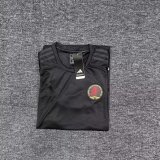 Aston Villa 125th Anniversary Edition Black Fans  1:1 Quality Soccer Jersey 25/26