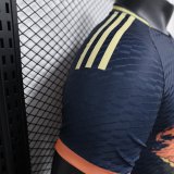 Japan Special Edition Player 1:1 Quality Soccer Jersey 24/25