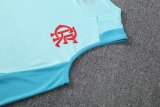 Flamengo Blue 1:1 Quality Training Vest（A-Set）25/26