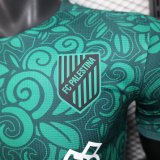 Palestine  Green Player 1:1 Quality Soccer Jersey 25/26