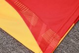 Bayern Munich Training Red 1:1 Quality Training Jersey 24/25