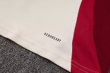 Bayern Munich Training White Red 1:1 Quality Training Jersey 24/25