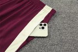 Bayern Munich Training White 1:1 Quality Training Jersey 24/25