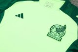 Mexico Green  And Burgundy  1:1 Quality Training Jersey（A-Set）24/25