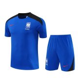 Korea Blue 1:1 Quality Training  Jersey（A-Set）24/25