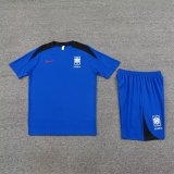 Korea Blue 1:1 Quality Training  Jersey（A-Set）24/25