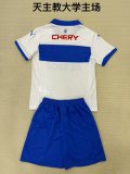 Universidad Católica (Chile)  Home  Adult Kits 1:1  Quality  Soccer Jersey 25/26（成人套装）