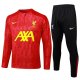 Liverpool  Red With Black Version 1:1 Quality Training Jersey 24/25